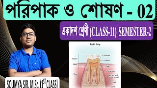 পরিপাক ও শোষণ02 । Digestion amp Absorption  Class 11 semester 2  soumya sir wbshce [upl. by Suzie574]