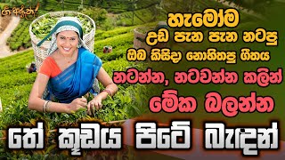 තේ කූඩය පිටේ බැඳන්  The Kudaya Pite Badan  Gee Aruth [upl. by Keeley]