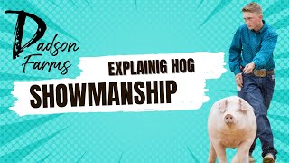 Explaining how a pig show works for Hog Showmanship [upl. by Letsyrhc573]