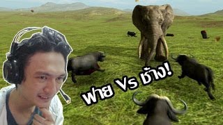 Beast Battle Simulator ฟาย Vs ช้าง ศึกดวลเพนกวิ้นซิมูเลเตอร์ [upl. by Hilda]