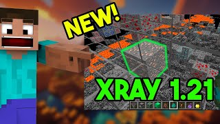 How to Install XRay Resource Pack to Minecraft 121 2024 [upl. by Anahcra]