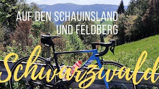 2000 Höhenmeter Rennradtour  Schauinsland Feldberg Titisee Glottertal Schwarzwaldklinik 🇩🇪 [upl. by Tuchman]