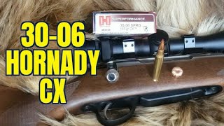 165gr Hornady CX 3006 Review [upl. by Clovah398]