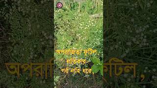 Oporajita Futilo kobita foryou indianpoet kobitaabriti banglakobita rabindranathtagore [upl. by Theodosia]