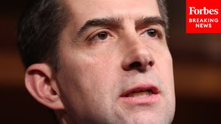 173 To 8 Whats Up With That Tom Cotton Decries Lack Of US Retaliatory Strikes On Iran Proxies [upl. by Alano]