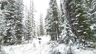 First Snow Berthoud Pass 9222024 [upl. by Nennarb606]