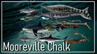 🇺🇲 The Mooreville Chalk Ocean [upl. by Sucram1]