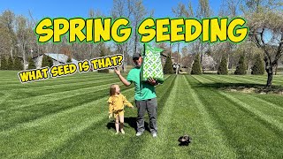 SPRING Grass SEED sale SEED TAG INFO [upl. by Demeter]