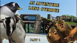 What Happened At The Kansas City Zoo Over The Summer  BEC TREK Episode 32 Part 1 [upl. by Woo]