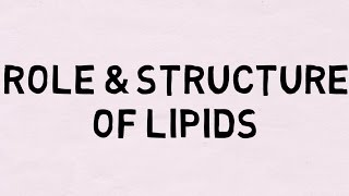 Role and Structure of Lipids AQA Edexcel OCR [upl. by Lhok193]