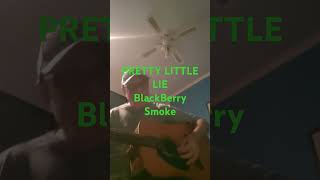 Pretty Little Lie  BlackBerry Smoke  Cover [upl. by Teague]