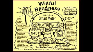 cartoon Willful Blindness 2016 request smartmeter damages [upl. by Garner611]