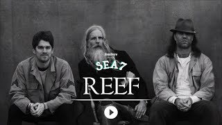 REEF live at Sea7 [upl. by Frear]