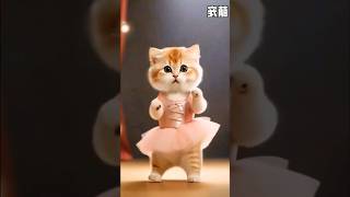 cute cat dance 🥀wish status💕🥀🥀new whatsapp statuscute puppy🥀trendingtrendshortsnew status [upl. by Annahsirhc]