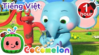 Bài Hát Bé Rửa Tay  CoComelon Tiếng Việt  Nhạc cho Trẻ em  Bài hát Ru ngủ [upl. by Corabella941]