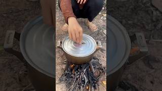 Survival Skills SMART idea and USEFUL in forest camping bushcraft outdoors su1519shotrs [upl. by Dralliw863]