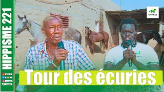 Tour des écuries Écurie Bakh Yaye De Père Ousmane Diop Tivaouane [upl. by Eanal]