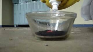 Potassium Permanganate and Glycerin [upl. by Rayna636]