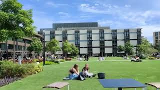 Macquarie University  December 2024 Intake  First One Education Migration BGC [upl. by Dett]