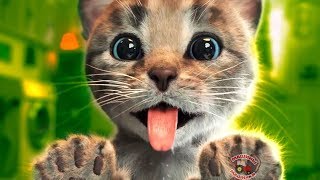 My Little Cat cartoon game for little kids mimimishka lets play cartoon new series 2018 [upl. by Esiuolyram]