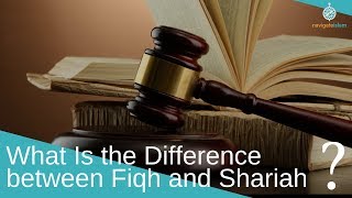 Fiqh and Shariah Any difference [upl. by Longley833]