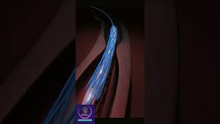 Coronary Artery Stent animation shorts heartstent [upl. by Corell179]