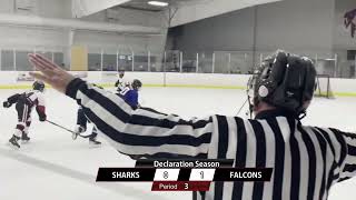 Chesterfield Falcons vs Meramec Sharks  Peewee Major [upl. by Weinstock]