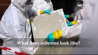 What does asbestos look like [upl. by Cornell730]