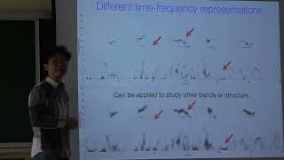 Application of Concentration of Frequency and Time ConceFT in EEG [upl. by Kelby]