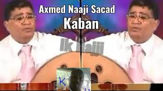 Axmed Naaji Sacad  Aabo Huunooy [upl. by Savory]