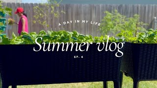 VLOG A Slow And Relaxing Summer Day In America Easy And Healthy Recipe Cooking Grocery Haul [upl. by Cristionna]