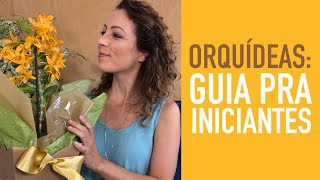 5 DICAS pra CUIDAR BEM de ORQUÍDEAS [upl. by Sophey162]