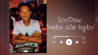 SonDAW liseby ase lisebyragga rmx [upl. by Audre600]