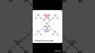 Four Hydrogen bonding in one water molecule 🤔 [upl. by Tani]