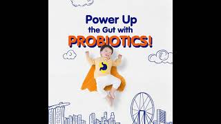 Bifidobacterium lactis  Helps maintain a Healthy Digestive System  40s [upl. by Yniatirb]