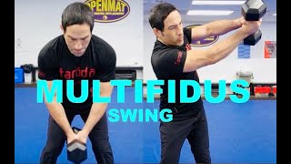 Lower Back Exercises  The Multifidus Swing [upl. by Adnilreh]