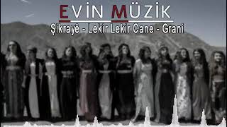 EVİN MÜZİK LEKİR LEKİR CANE GRNİ🔥🔥🔥🔥🔥🔥🔥🔥🔥 [upl. by Nevanod]