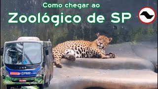 22 Como Chegar ao Zoológico de São Paulo [upl. by Nitz]