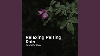 Long Sleep in Rainfall [upl. by Adlecirg]