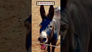 nana ho nana 😜😜 funny comedyvideos hsagar realfools realfoolsshorts63 [upl. by Hadias]