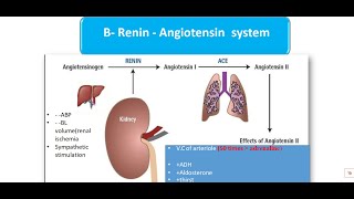 L1112 physiology CVS [upl. by Maise252]