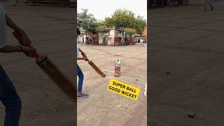 Super Ball good wicket Cricketlover shotvideo [upl. by Ahtamat]