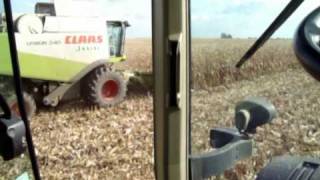 Corn Harvest  Claas Lexion 540 Fendt 718 JD 8230 7930 [upl. by Yleek]