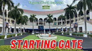 Pegasus World Cup 2024  Análisis EN VIVO [upl. by Htezzil]