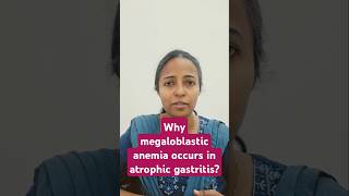 Physiology classwhy atrophic gastritis causes pernicious anemia mbbs1styear physiologylectures [upl. by Lennor]