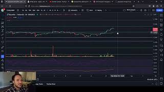 BLUZELLE vs STORJ [upl. by Cirted]