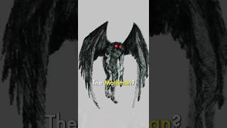 Does the Mothman exist 🦇 [upl. by Enohsal]