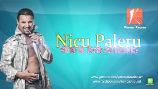 Nicu Paleru  Vino la Jose Armando Parodie Muzica de Petrecere  Hore Sarbe [upl. by Artamas]