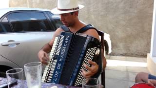 Armandinho do Acordeon  Puxando o Fole [upl. by Wilton]