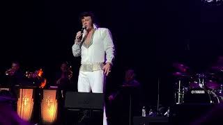 David Lee sings Polk Salad Annie 2022 Tupelo Elvis Festival [upl. by Ellasal]